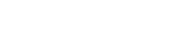 stn-logo-white